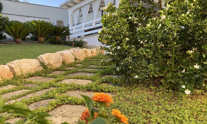 Grottaglie Villa | Villa surrounded by greenery