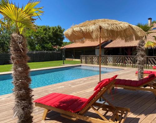 Labenne-Ocean Villa | Villa Valhalla - 400m from beach, sauna and big heated pool