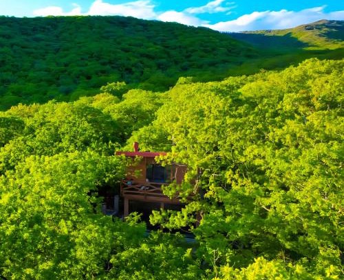 Mtskheta Apartment | Villa Vejini cabin