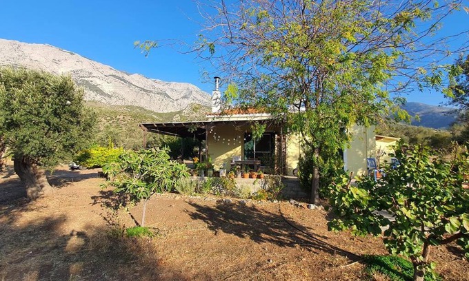 Kampos Marathokampou Villa | Villa Votsalakia