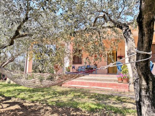 Oliena House | Villa Walter
