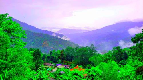 Rishop House | Village Cafe Homestay