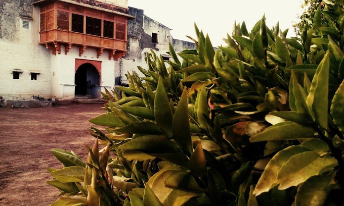 Rohet Other | Village Castle stay amidst Desert