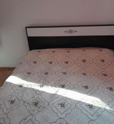 Salkhino House | Village House for Rent in Balda
