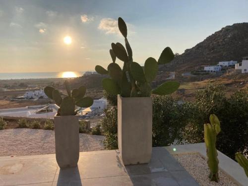 Mikri Vigla Villa | Villas in Greece