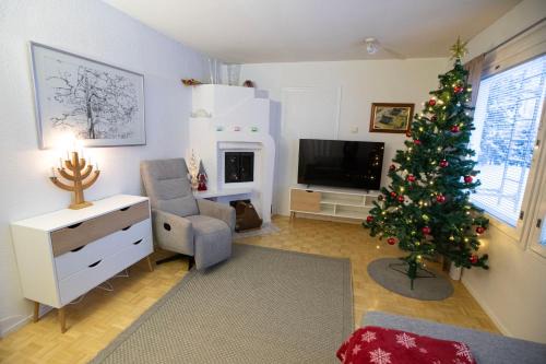 Rovaniemi Villa | Villas in Rovaniemi, Finland