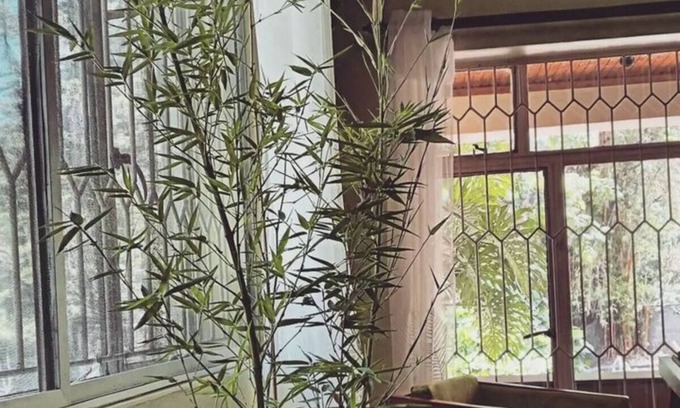 Arusha House | Vines Homen