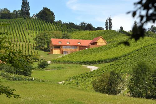 Zgornja Kungota House | Vino Valdhuber Apartments