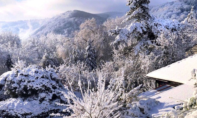 Aywaille Ski Chalet | Vintage Chalet in Sougné-Remouchamps near Forest
