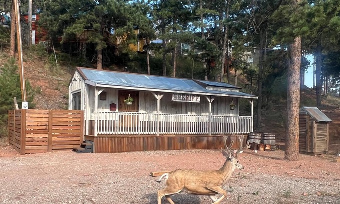 Woodland Park Cabin | Vintage Sheriff Tiny Cabin - HOT TUB!