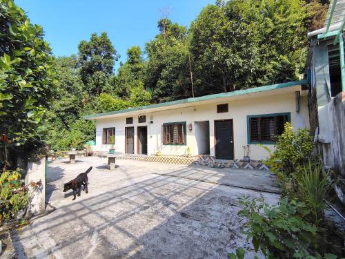 Tapovan House | Vishranti homestay