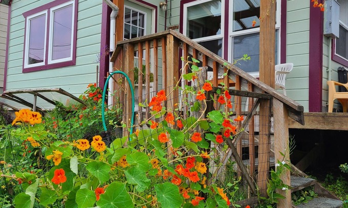 Tenakee Springs Cottage | Visit and relax in Tenakee Springs