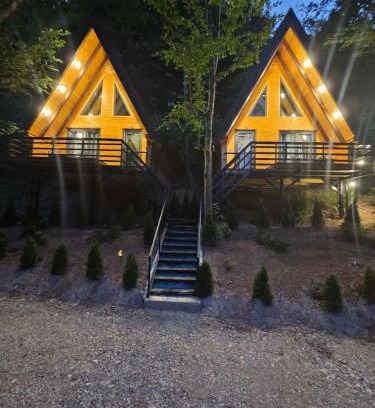 Plav Apartment | Visitor Place