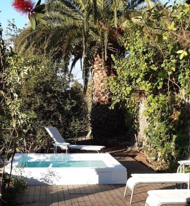 Santa Brigida House | Vivelorural casa El Gargujo con piscina