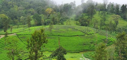 Valparai House | VLP home stay