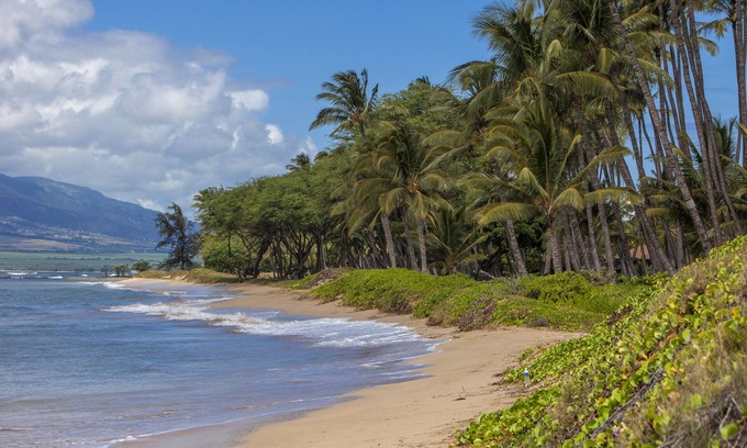 Kihei Condo | Waiohuli Beach Hale #D-122 Oceanfront Complex, Great Rates, Ground Floor Unit
