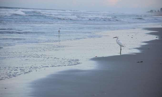 New Smyrna Beach Condo | Wake up to the sounds of the Atlantic Oceans