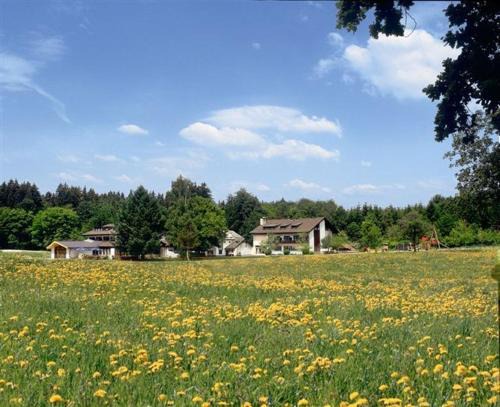 Schernfeld Hotel | Waldhotel Geländer