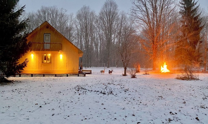 Benzonia Cabin | Walking distance to Betsie River & 10 minutes to Lake Michigan & Crystal Mnt!