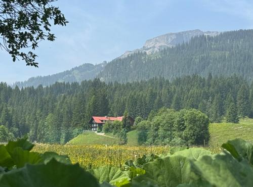Mittelberg Apartment | Walmendinger Haus