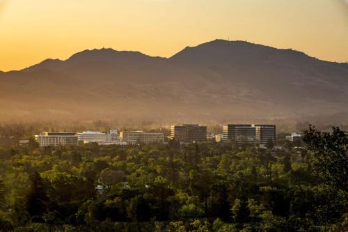 Walnut Creek Hotel | Walnut Creek Marriott