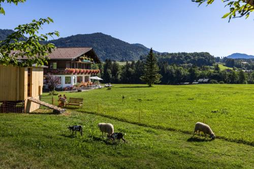 Bischofswiesen House | Wassererlehen