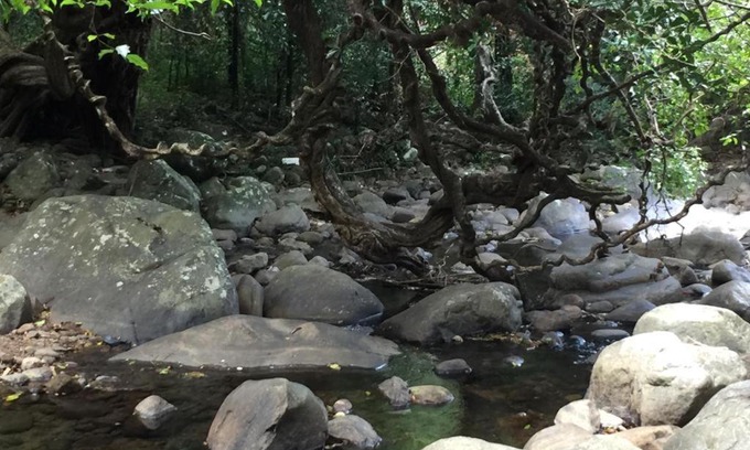 Imbulpe Hotel | Water View - Belihuloya