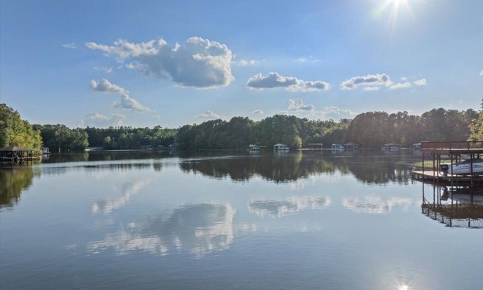 Wise House | Water You Wating For? | Waterfront Fun & Relaxation