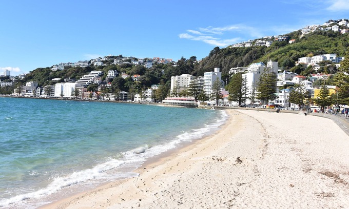 Oriental Bay House | Waterfront Beach house
