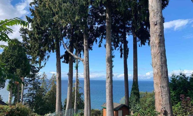Regional District of Nanaimo House | Waterfront eagle nest suite