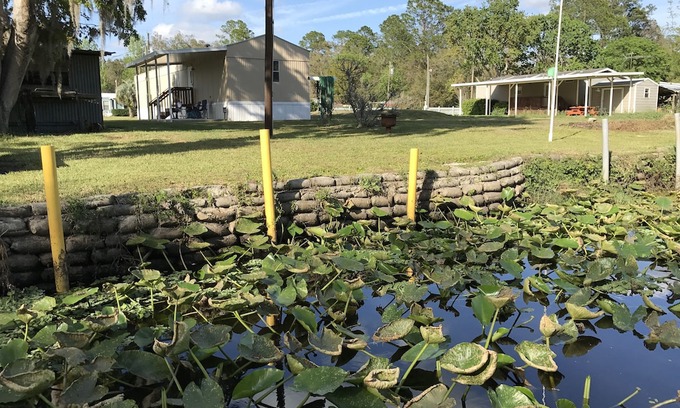 Satsuma House | Waterfront Vacation Rental on Dunn's Creek of the St Johns River