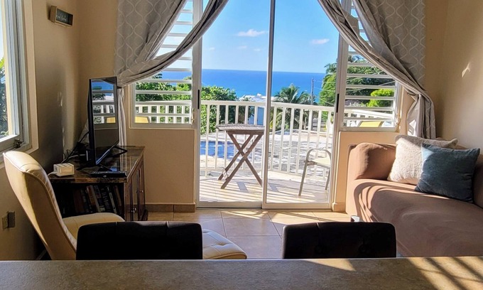 Puntas Apartment | WaveView - Rincon Apartment Rentals: Puntas 1 BR Condo w/Ocean View