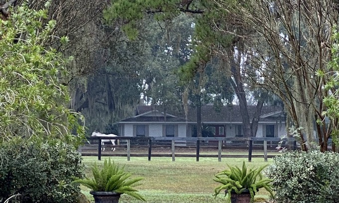 Ocala Other | WEC/Ocala Farmhouse on acreage with pool/barns/arena