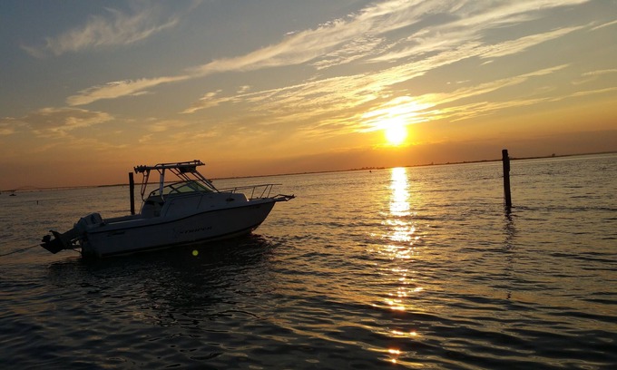 Kismet House | Weekends, midweeks and full weeks available! Steps to Beach, town and ferries!