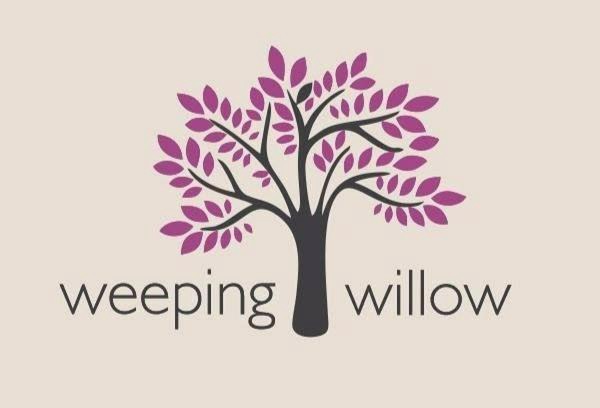 Nubra Valley Hotel | weeping willow camp