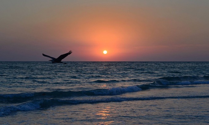 Sunset Reef Condo | Welcome to Pelican Post!