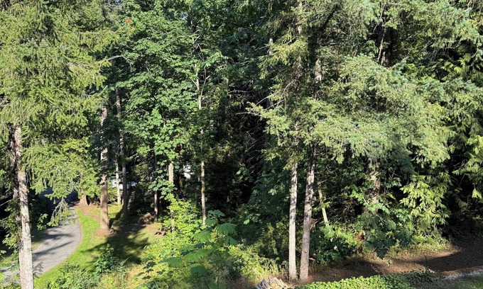 Cultus Lake Cottage | Welcome to “The Pines” at The Cedars