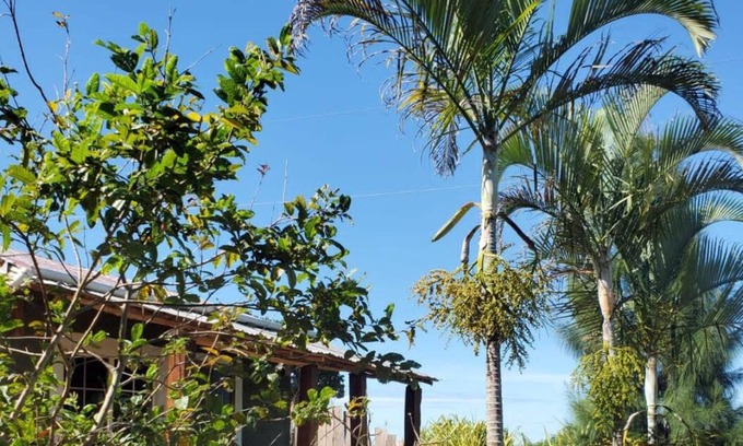 Lacovia Cabin | Welcome to your Jamaican Cabin in the Mountains