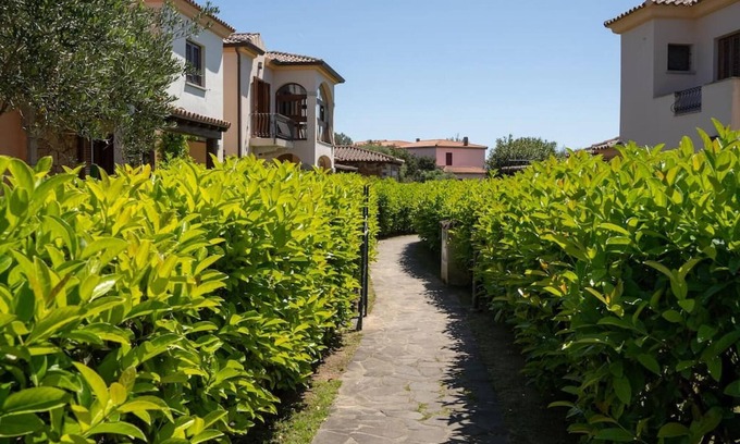 Monte Petrosu Apartment | Welcomely - Il Bouquet