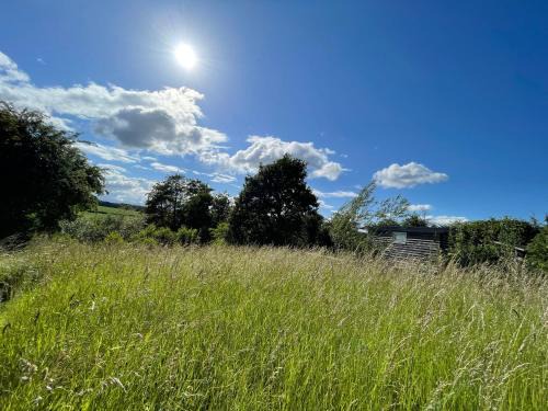 Newport House | Wellbank Shepherds Hut