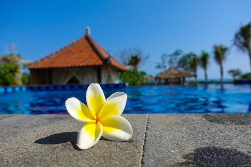 Mendoyo Hotel | West Break Bali - Medewi