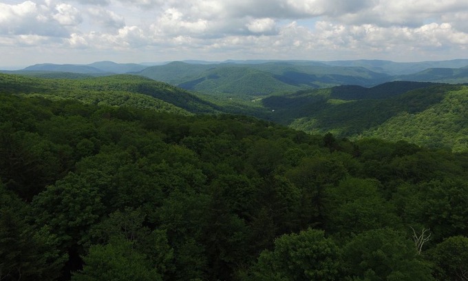 Snowshoe House | West Ridge 11- Hot Tub, Game Room, Grill, Fire Pit, Dog Friendly!