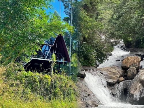 Vayittiri Resort | Wetlands Wayanad Pool Resort with Natural Waterfalls