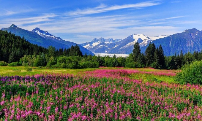 Juneau Cottage | Whale Song Cottage-Private and CozynCBJ1000044