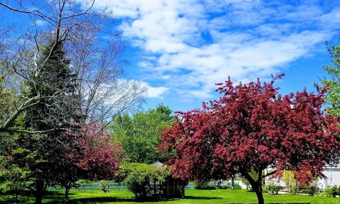 Eastham Bed & Breakfast | Whalewalk Inn and Spa