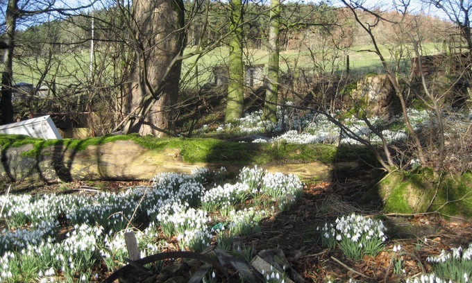 Hawick House | Whitchester Christian Guest House