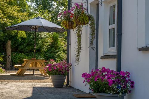 Narberth House | White Mill