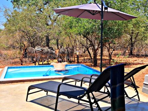 Marloth Park House | White Sparrow Villa