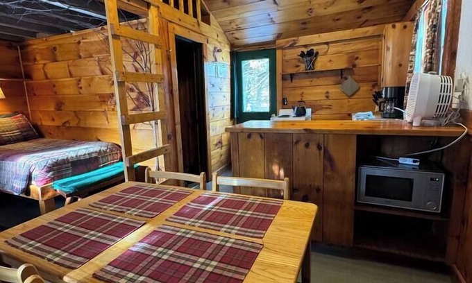 Lake Placid House | Whiteface Skier Cabin