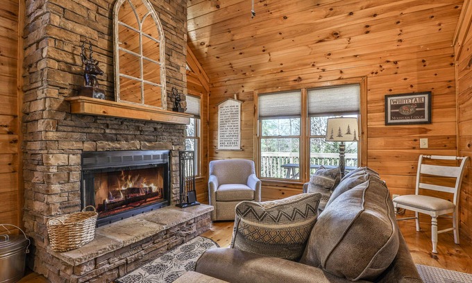 Ellijay Cabin | Whitetail Mountain Lodge - Hot Tub, Dog Friendly, Fire Pit